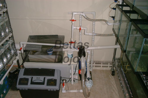 Gen II Sump tank 1st form (look at pic on right, notice a diff?); In-line heater, sump heater, UV sterilizer, pump, etc.